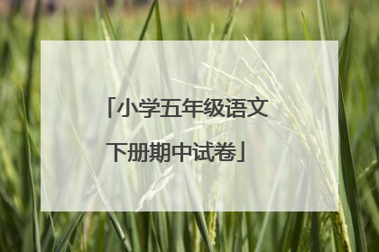 小学五年级语文下册期中试卷