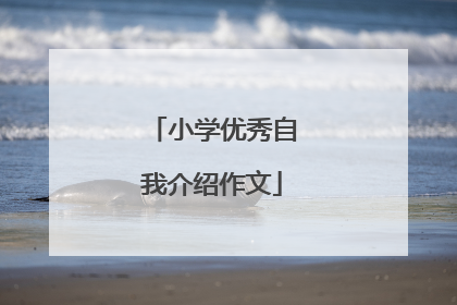 小学优秀自我介绍作文