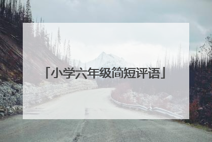 小学六年级简短评语