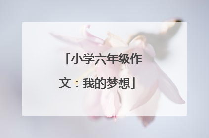 小学六年级作文：我的梦想