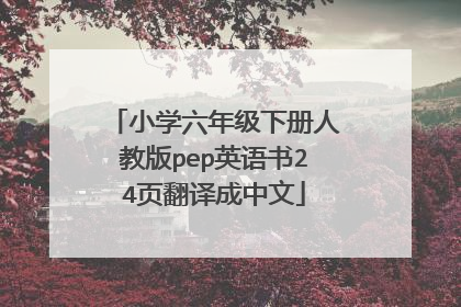 小学六年级下册人教版pep英语书24页翻译成中文