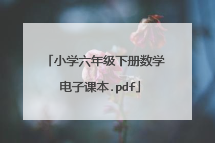 小学六年级下册数学电子课本.pdf