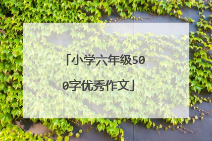 小学六年级500字优秀作文