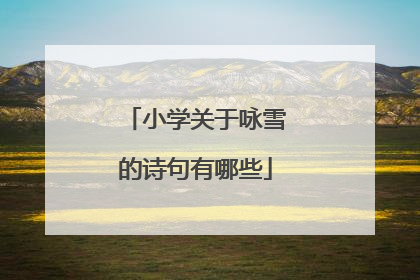 小学关于咏雪的诗句有哪些