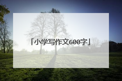 小学写作文600字