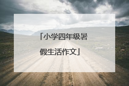 小学四年级暑假生活作文