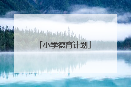 小学德育计划