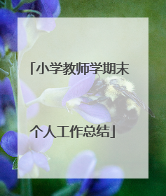 小学教师学期末个人工作总结