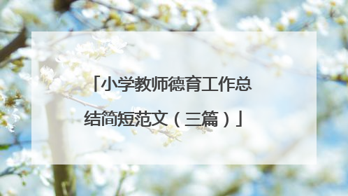 小学教师德育工作总结简短范文（三篇）