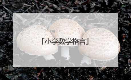 小学数学格言
