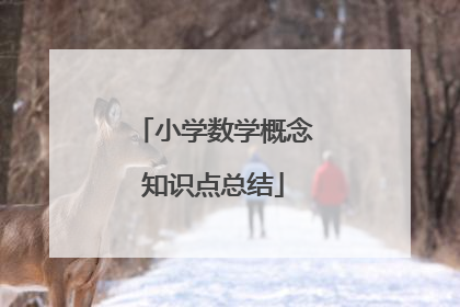 小学数学概念知识点总结