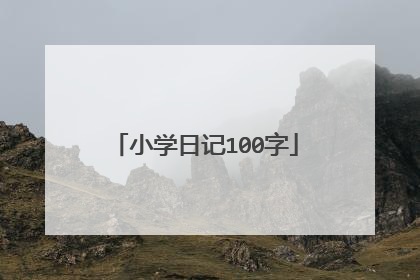 小学日记100字