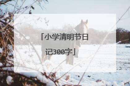 小学清明节日记300字