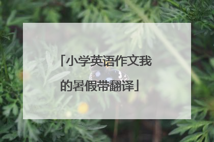 小学英语作文我的暑假带翻译