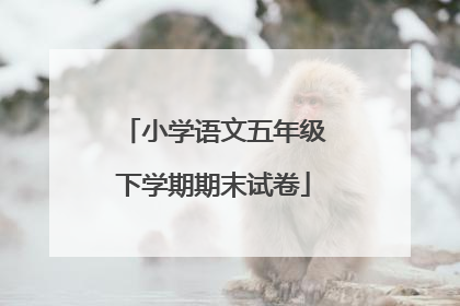 小学语文五年级下学期期末试卷