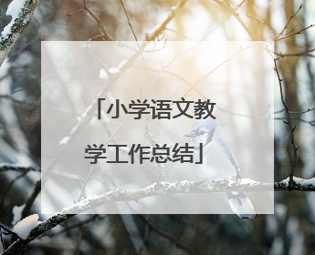小学语文教学工作总结