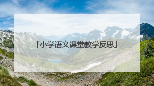 小学语文课堂教学反思