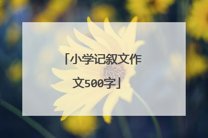 小学记叙文作文500字