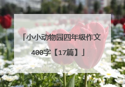 小小动物园四年级作文400字【17篇】