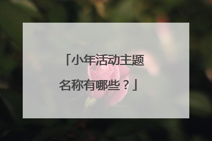 小年活动主题名称有哪些?