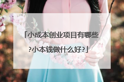 小成本创业项目有哪些?小本钱做什么好?