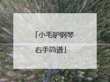 小毛驴钢琴右手简谱