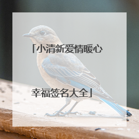 小清新爱情暖心幸福签名大全
