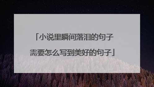 小说里瞬间落泪的句子 需要怎么写到美好的句子