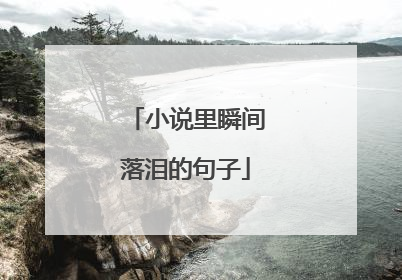 小说里瞬间落泪的句子