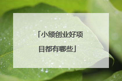 小额创业好项目都有哪些