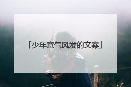 少年意气风发的文案