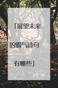展望未来的霸气诗句有哪些