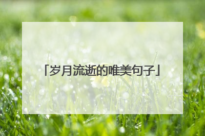 岁月流逝的唯美句子