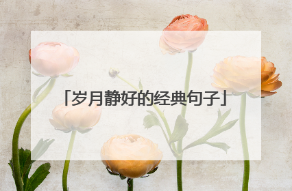 岁月静好的经典句子