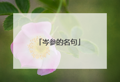 岑参的名句