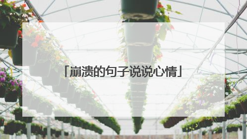 崩溃的句子说说心情