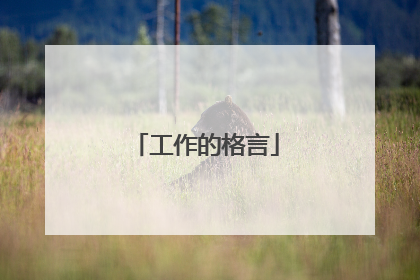 工作的格言