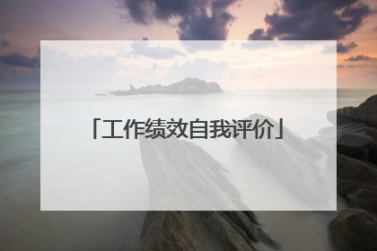 工作绩效自我评价