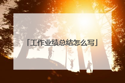 工作业绩总结怎么写