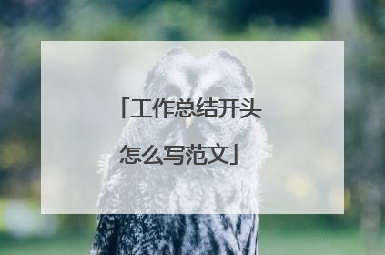 工作总结开头怎么写范文