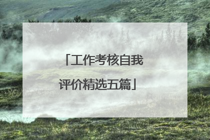 工作考核自我评价精选五篇