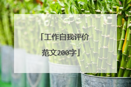 工作自我评价范文200字