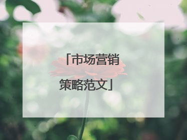 市场营销策略范文