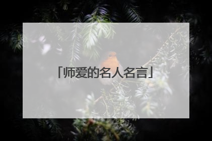 师爱的名人名言