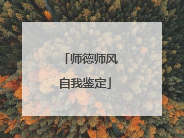 师德师风自我鉴定