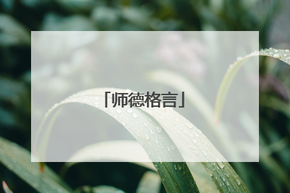 师德格言