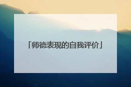 师德表现的自我评价