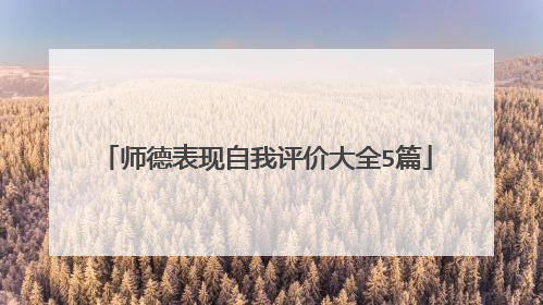 师德表现自我评价大全5篇