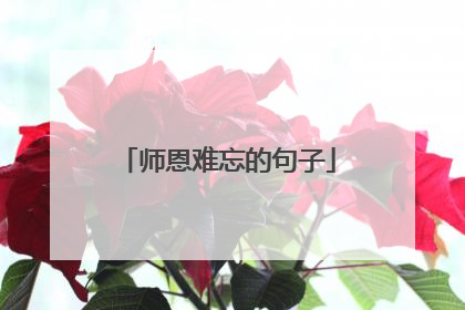 师恩难忘的句子