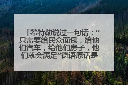 希特勒说过一句话:“只需要给民众面包,给他们汽车,给他们房子,他们就会满足”德语原话是什么,还要英
